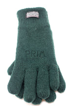 Load image into Gallery viewer, THINSULATE GLOVES