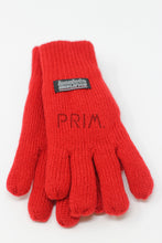 Load image into Gallery viewer, THINSULATE GLOVES
