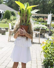 Load image into Gallery viewer, TEELA PONTE CIRCLE SKIRT