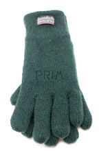 Load image into Gallery viewer, THINSULATE GLOVES