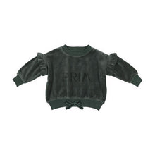Load image into Gallery viewer, ANALOGIE VELOUR SWEATSHIRT

