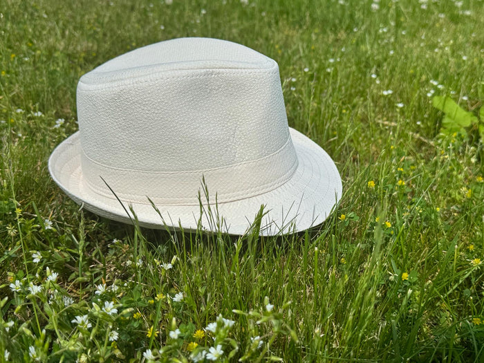 fedora