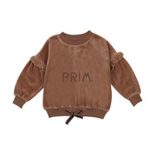 Load image into Gallery viewer, ANALOGIE VELOUR SWEATSHIRT
